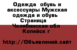 Одежда, обувь и аксессуары Мужская одежда и обувь - Страница 2 . Челябинская обл.,Копейск г.